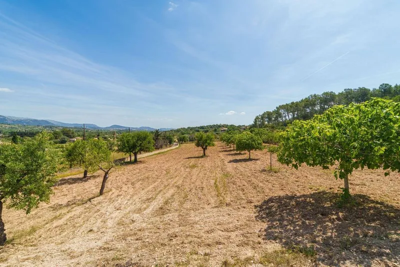 Rural or Farmhouse in Selva, Province of Balearic Islands — photo 6