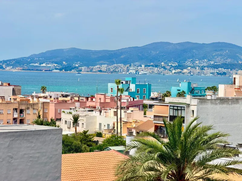 Flat - Palma de Mallorca (Coll d'En Rabassa) — photo 1