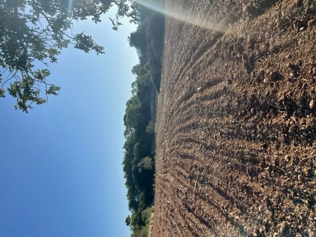 Plot with basic project to build a house — photo 5