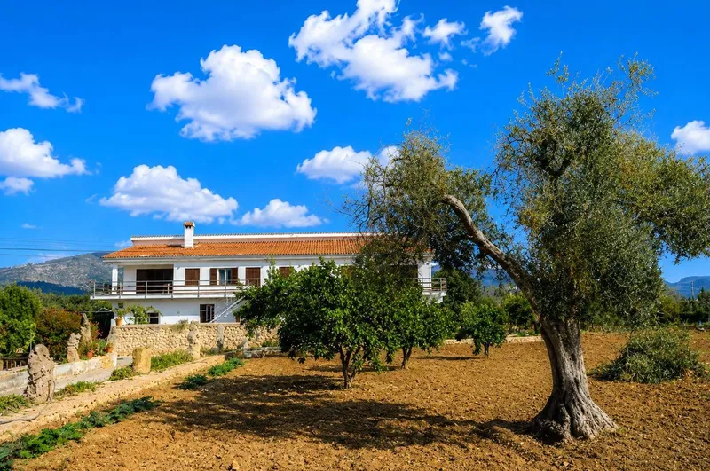 Exclusive Mallorcan finca 1 km from the center of Inca — photo 12