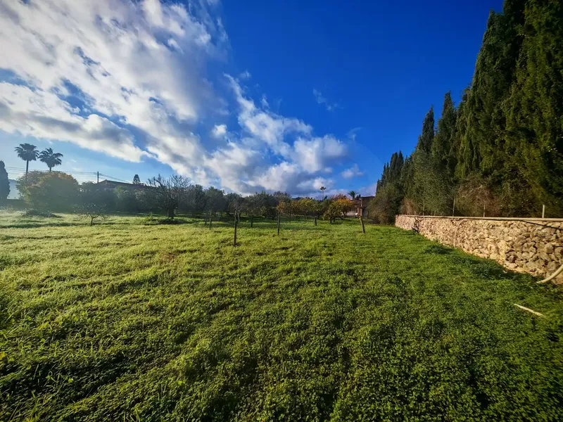 Legal with Habitability Certificate Rustic Property Palma-Establiments — photo 4