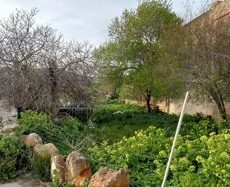 Exclusive plot with sea views and great development potential in Alquería Blanca — photo 9