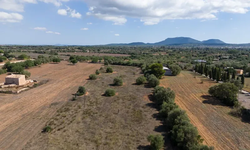 Rustic plot in Algaida — photo 5