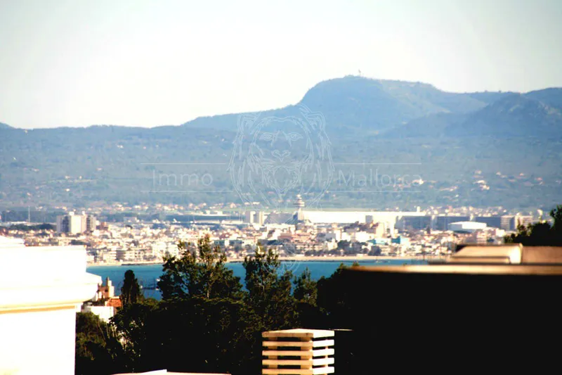 Penthouse with rooftop terrace and sea view — photo 1