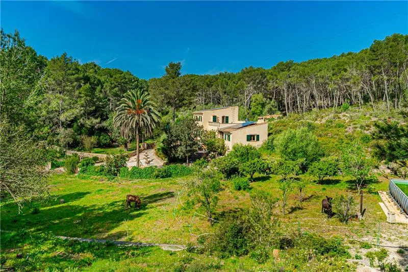 Rustic finca in a protected natural environment on an approximate plot of 124,000m². — photo 1