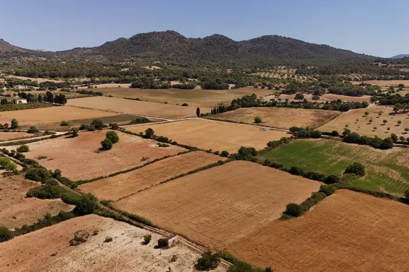 Land for Sale in Sant Llorenç des Cardassar — photo 3