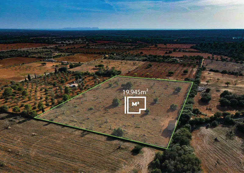 Buildable plot in Llucmajor, Mallorca. Païsa area. — photo 1