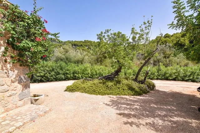 Finca/Country House for rent in Puerto de Soller / Port de Soller, Sóller, Mallorca — photo 12