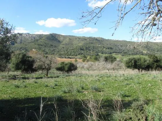 Nice finca near Alcudia with views, 135,000 m², very big, with possibility to build a villa — photo 7