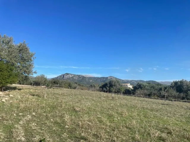 Fantastic investment finca for sale on the outskirts of Moscari, Mallorca — photo 11