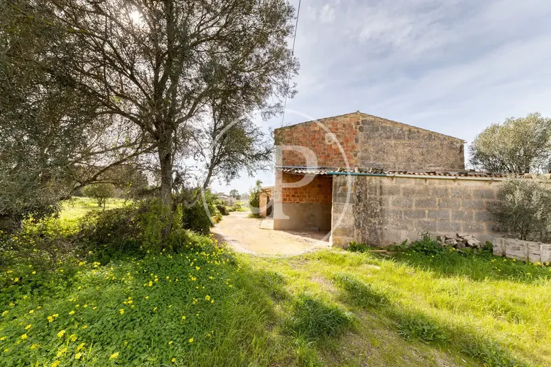 Casa rústica con jardín en venta en Son Rango — photo 4