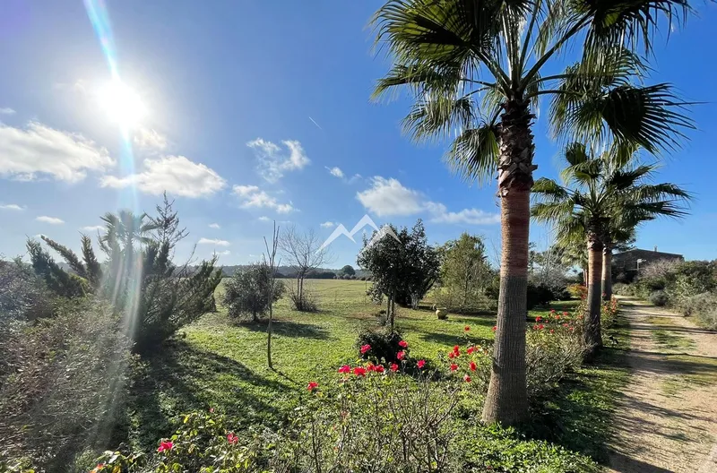 Rural Estates, Land and Plots — photo 4