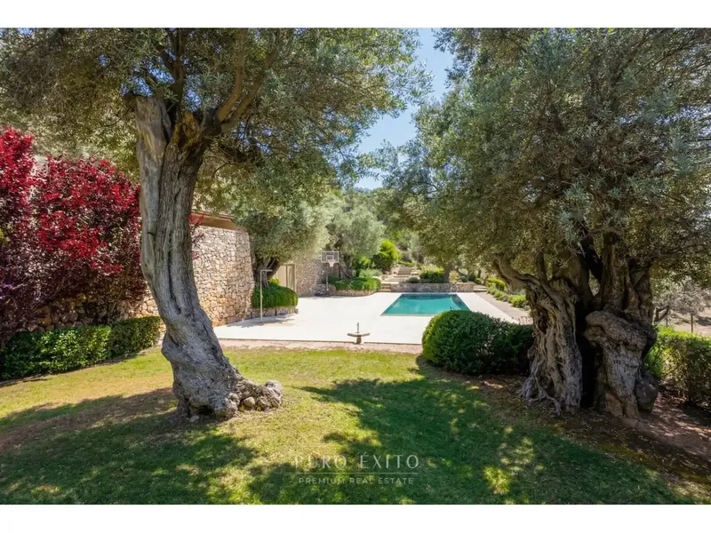 Located in the heart of the Sierra de Tramuntana, a UNESCO World Heritage Site, this property offers an exceptional combination — photo 5