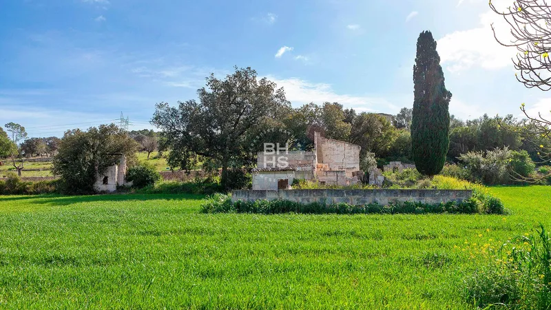 Country plot for sale in Muro — photo 12