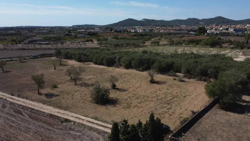 Rustic plot of 1,753 m² near Porreres — photo 4