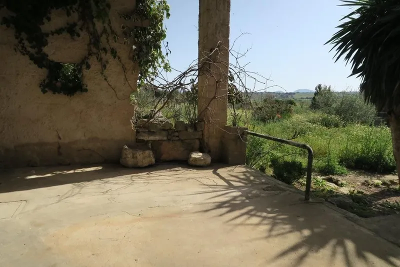 Luxury home in Ariany, Province of Balearic Islands — photo 11