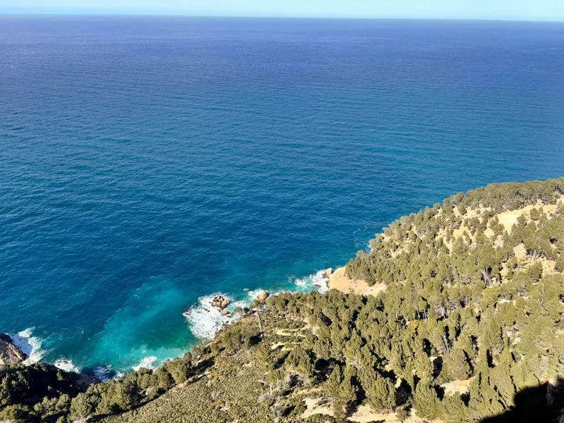 Rustic Plot in Son Fortuny – Estellencs, in the Heart of the Serra de Tramuntana — photo 10