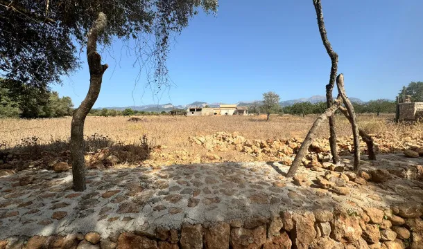 Opportunity to buy a plot in the heart of Mallorca, near Binissalem. — photo 3