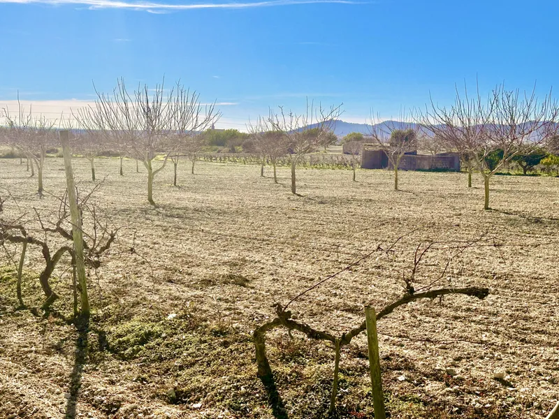 Building plot with project in a fantastic location — photo 4