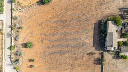 Rustic property - Campos, built surface 1300m2, plot surface 32702m2, 4 bedrooms, 2 bathrooms. — photo 7