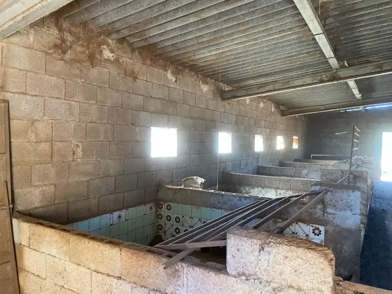 Rustic Farmhouse with Agricultural Classification, Located in the Sineu Area of Mallorca, Known for Its Pleasant Mediterranean Climate, It Has a C — photo 7
