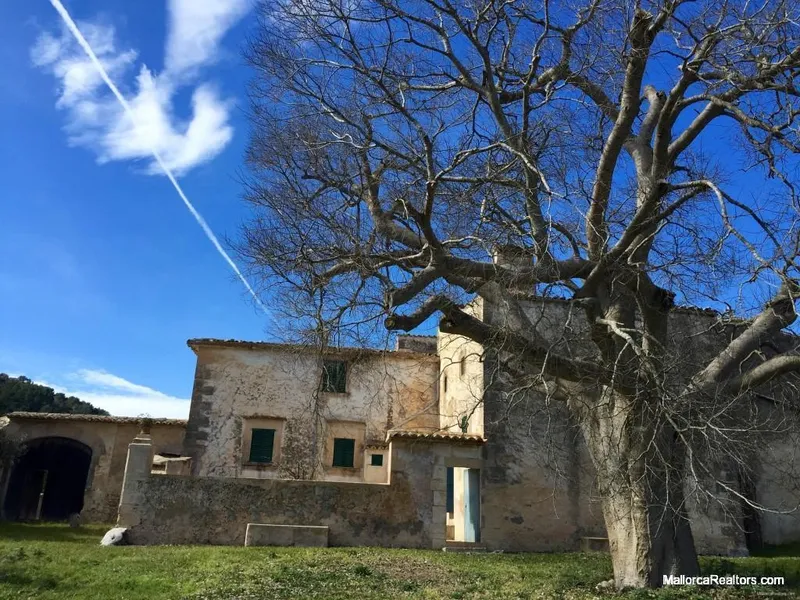 Large historical country house set in an old vineyard with extensive grounds in Algaida — photo 6