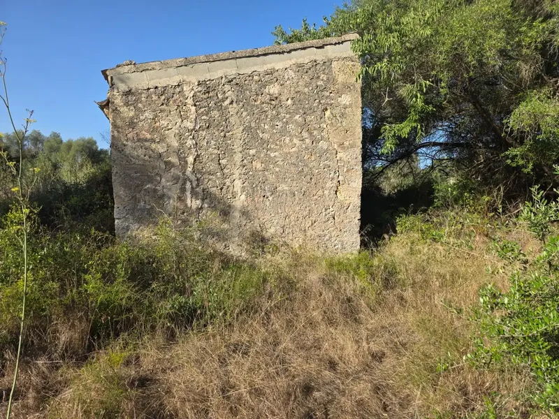 Rustic estate in Costitx — photo 5