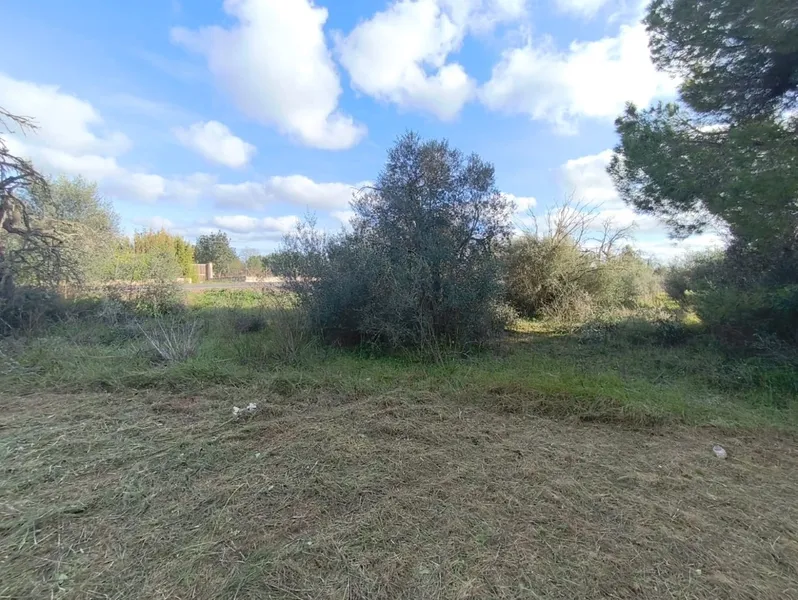 Rustic finca for sale on the outskirts of Inca - with project and valid license — photo 6