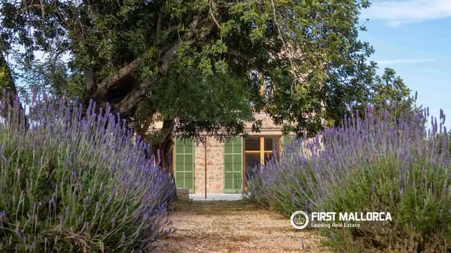 Finca/Country House for sale in Alaró, Mallorca — photo 2