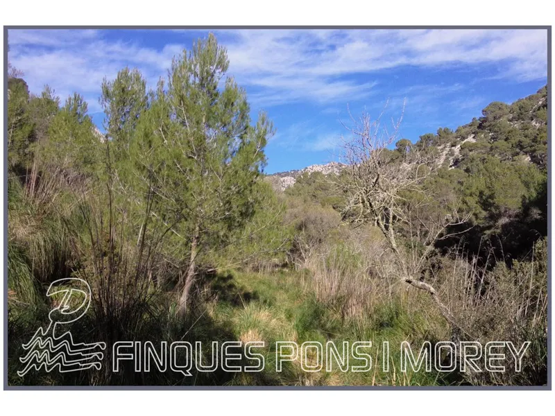 Land - Ref. [redacted] — photo 5