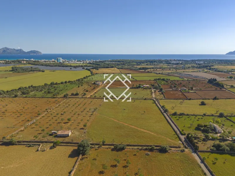 Finca for sale in Santa Margalida, Mallorca — photo 4