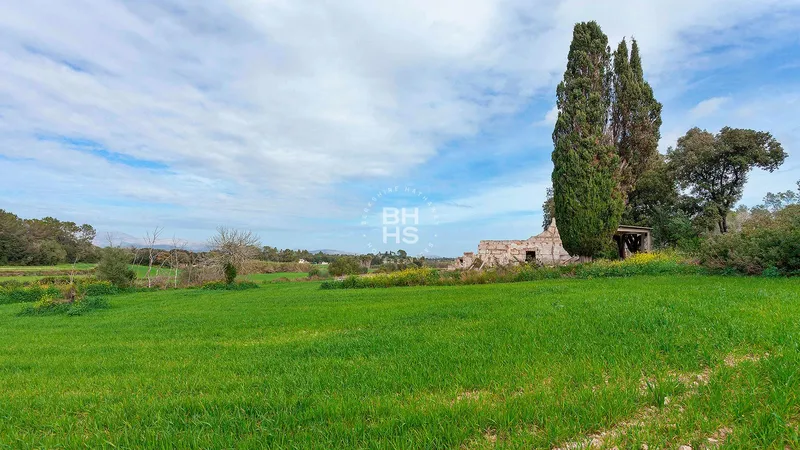 Country plot for sale in Muro — photo 6