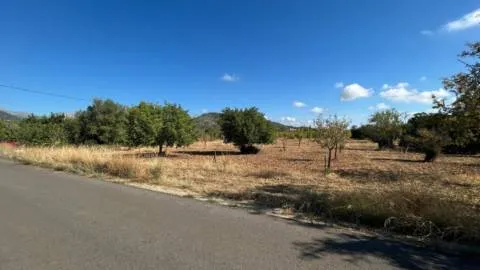 Terreno — photo 10