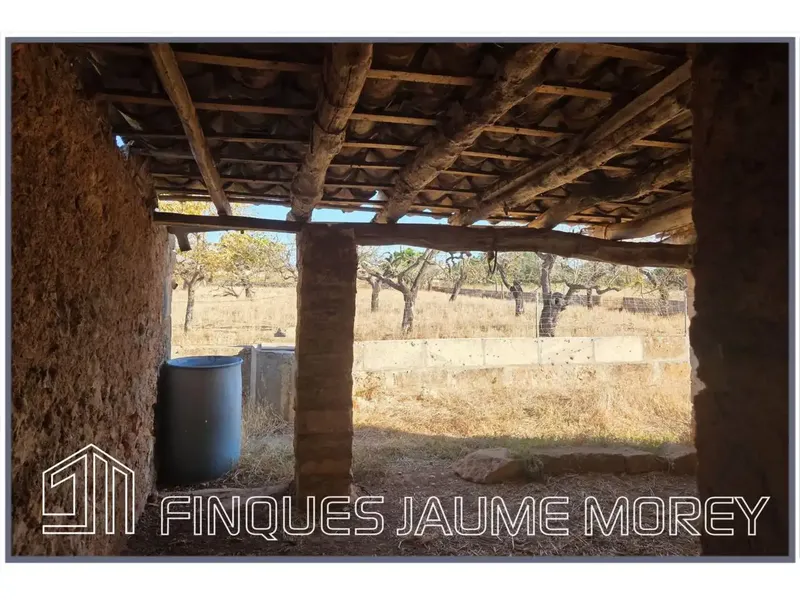 En el municipio de Búger les ofrecemos esta finca rústica de uno 8.000m2 de terreno con una edificación agraria existente de unos 240m2 apro — photo 5