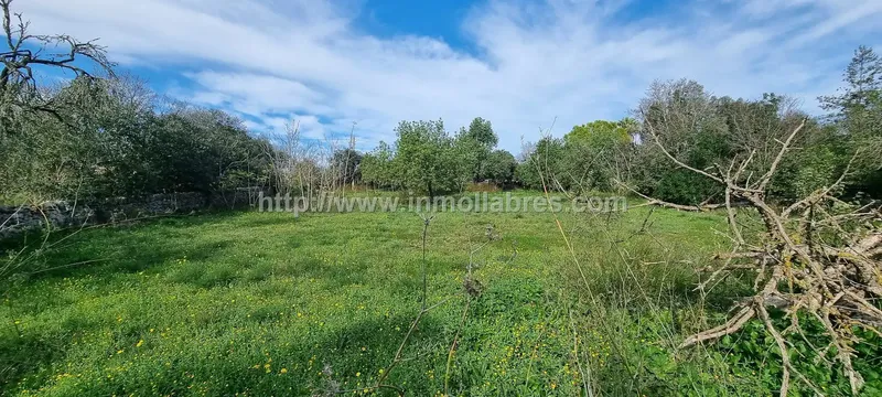 Unique opportunity on the outskirts of the charming municipality of Sencelles, on the beautiful island of Mallorca. This huge rustic estate — photo 10