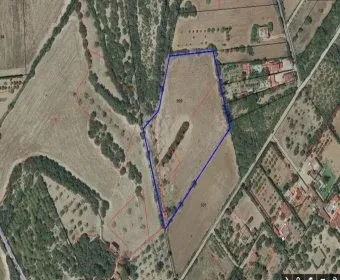 Land for Sale in Manacor — photo 12