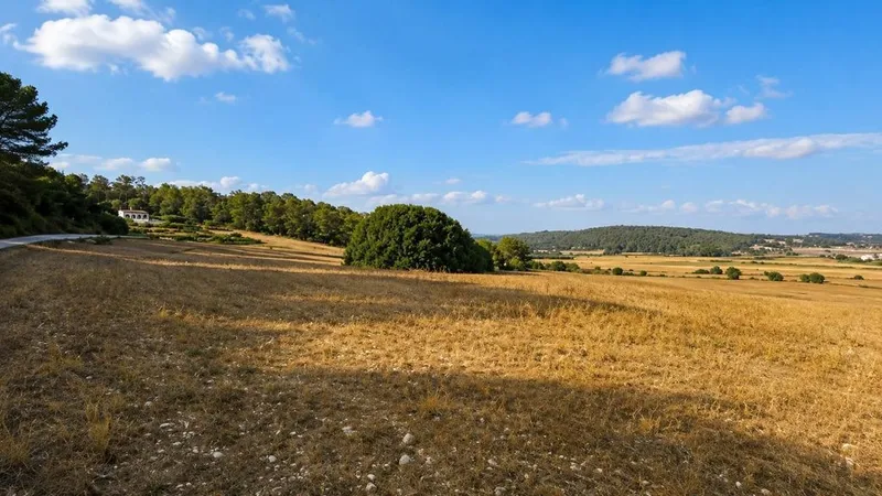 Land in Algaida, Province of Balearic Islands — photo 7