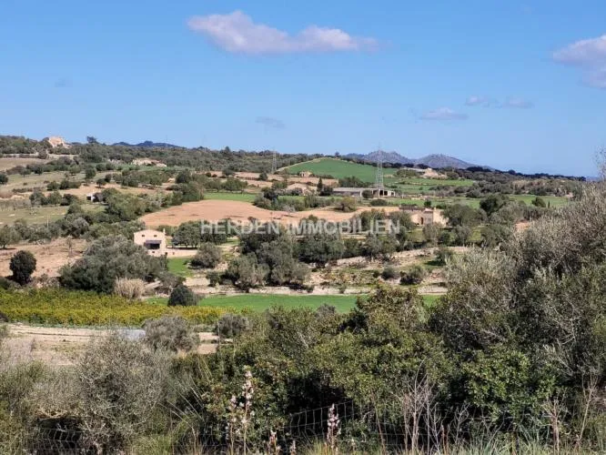 Building Plot for Sale in Manacor, Mallorca — photo 9