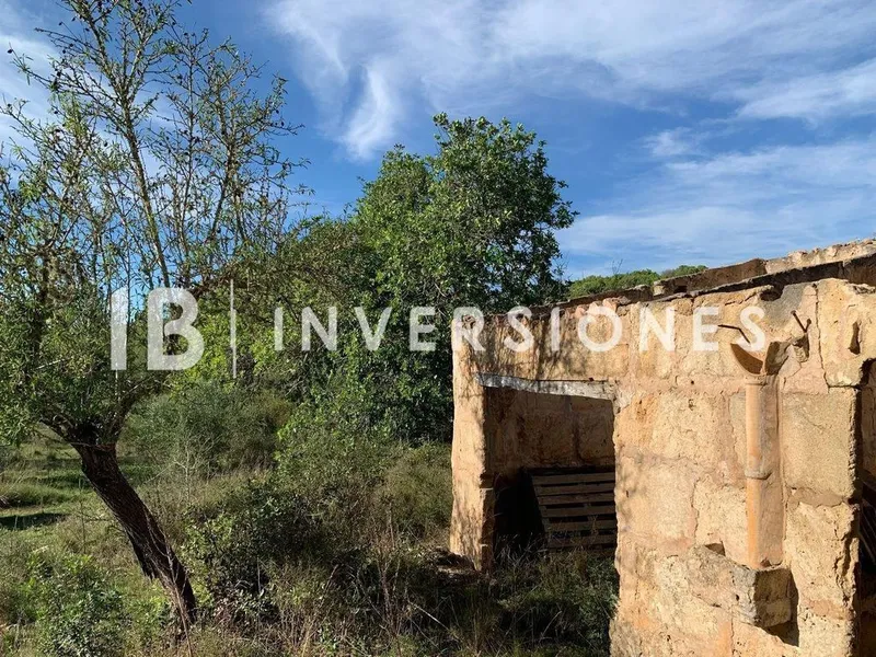 Land in Capdepera, Province of Balearic Islands — photo 3