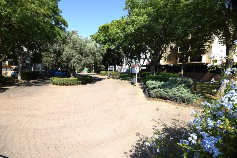 Discover your new home in Palma! — photo 4