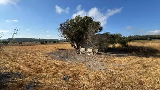 Rustic Land - Maria de la Salut — photo 2