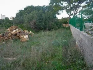 Land plot in Vallgoner... — photo 6
