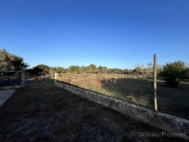 Charming rustic finca in Costitx — photo 7