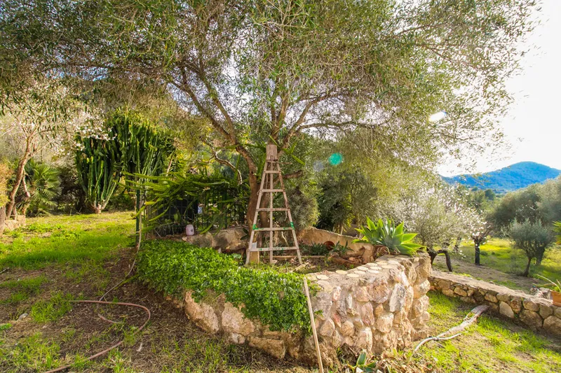 Ref. 2421C – Andratx – Rustic finca in traditional style in quiet location — photo 6