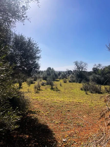 Building Plot in the Outskirts of Campos — photo 1