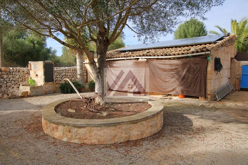 Country house for sale in Ses Salines — photo 9