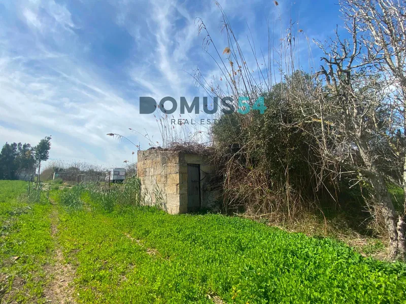 Rustic land not to be built on in Sa Pobla — photo 5