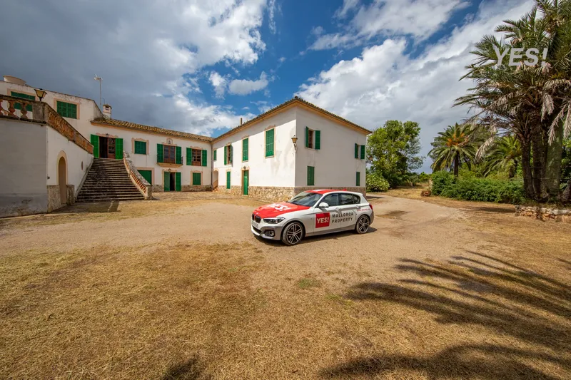 Country estate with woodland and large agricultural area in Maria de la Salud — photo 2