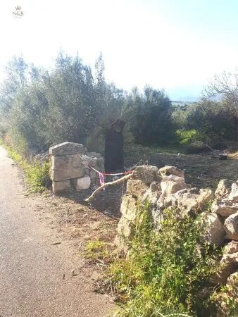 Rural Land - Muro (Muro afueras), Built Surface 57m², Plot Surface 5269m², Distance to the sea 10 Km. — photo 4