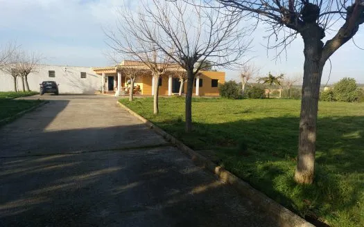 Finca in Son Ferriol — photo 1